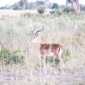 DSCF7537