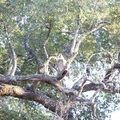 DSCF7131