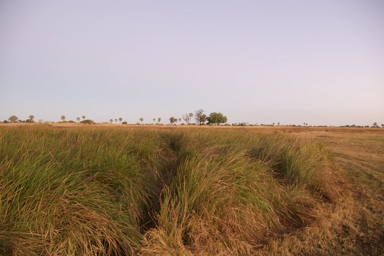 DSCF7112.webp
