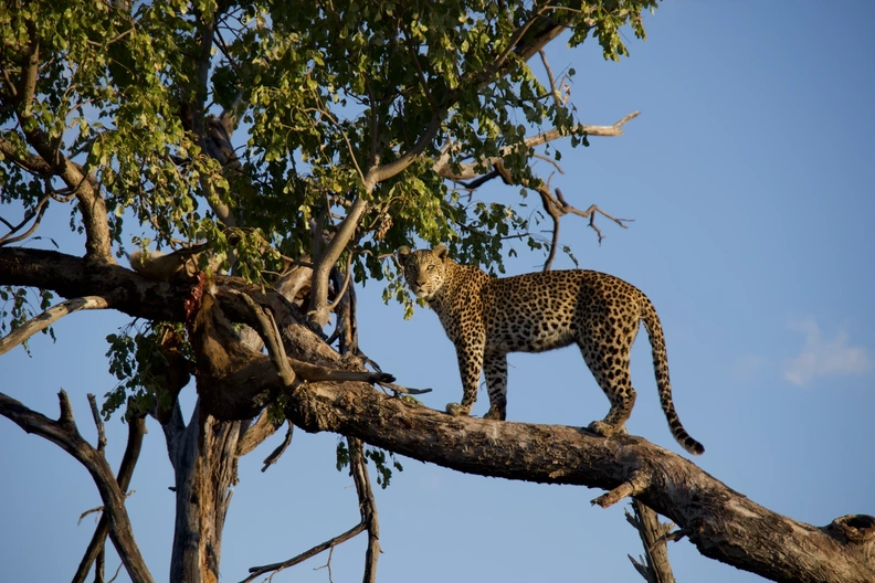 DSCF4863.webp