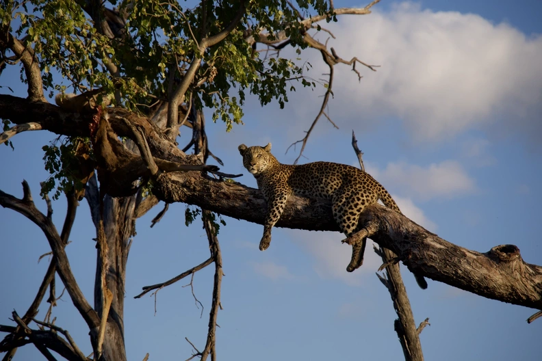 DSCF4784.webp
