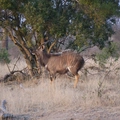 DSC00676
