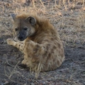 DSC01550